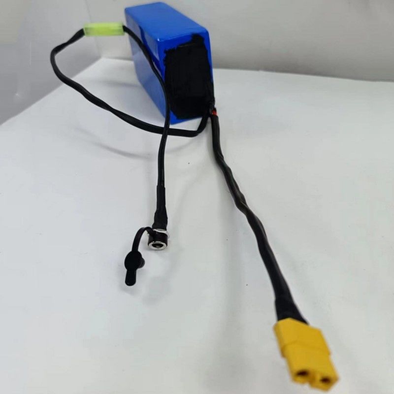 Προσαρμοσμένη 18650 μπαταρία 36V 2600mAh 10 κύτταρα με μικρό Tamiya μεταφορά πλέγμα για την φόρτιση